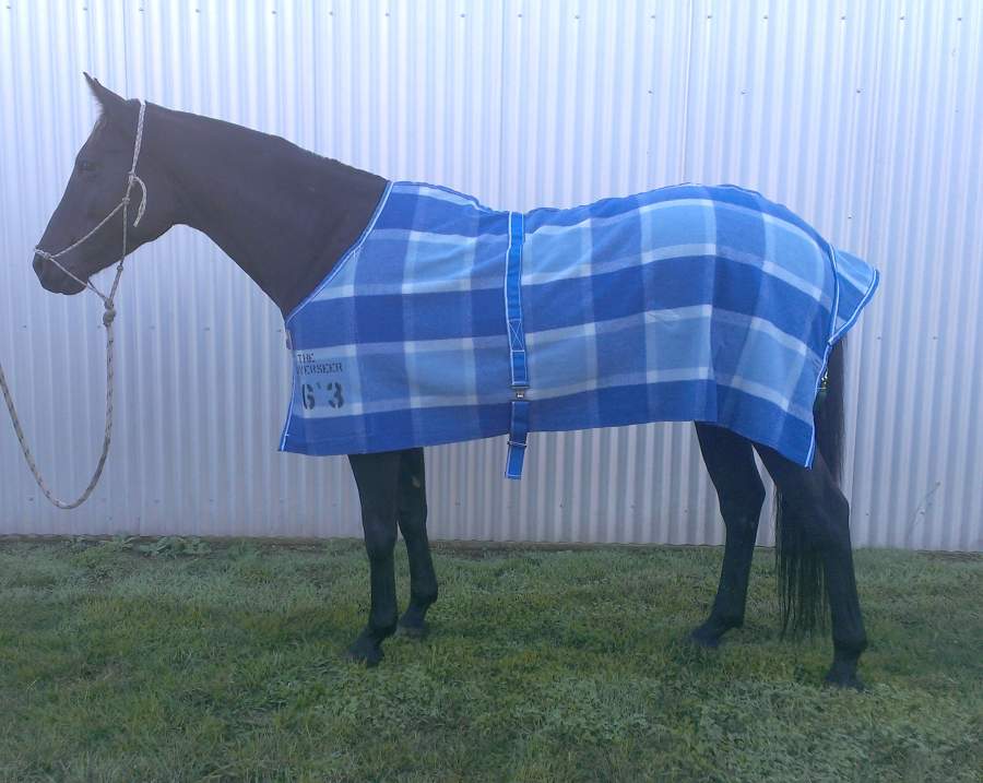 Woollen Horse Rug