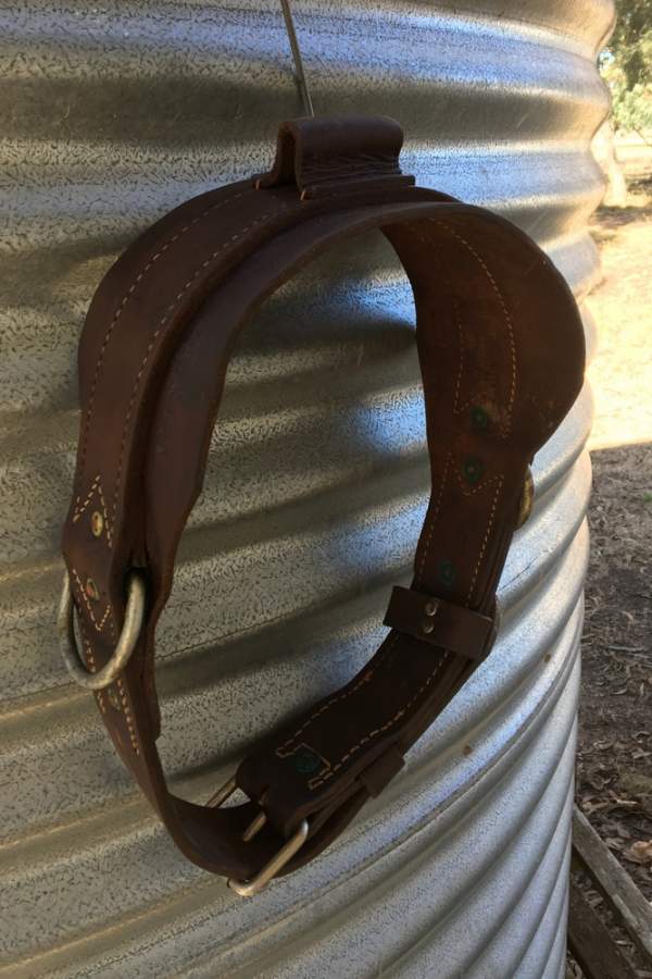 Leather Livestock Collar