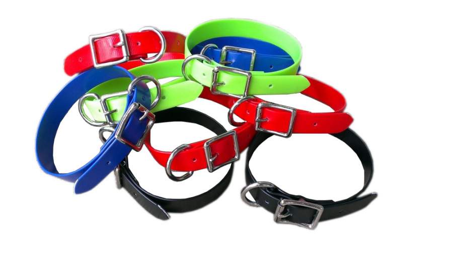 Dog Collars