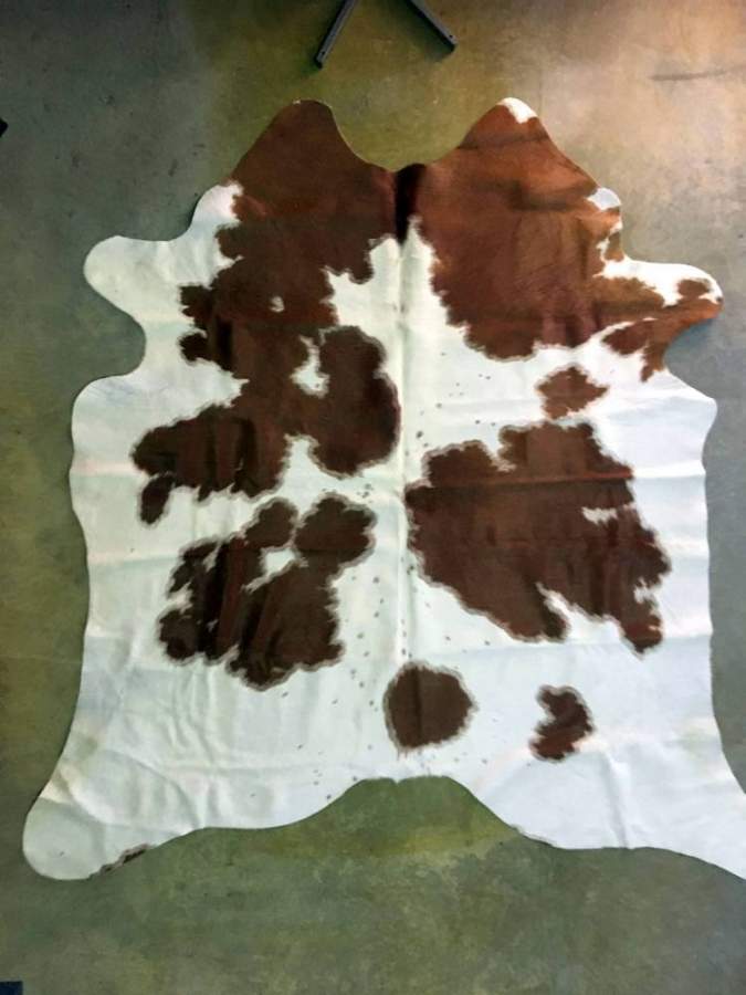 cow hides for sale in dorrigo australia cow hides for sale in dorrigo australia